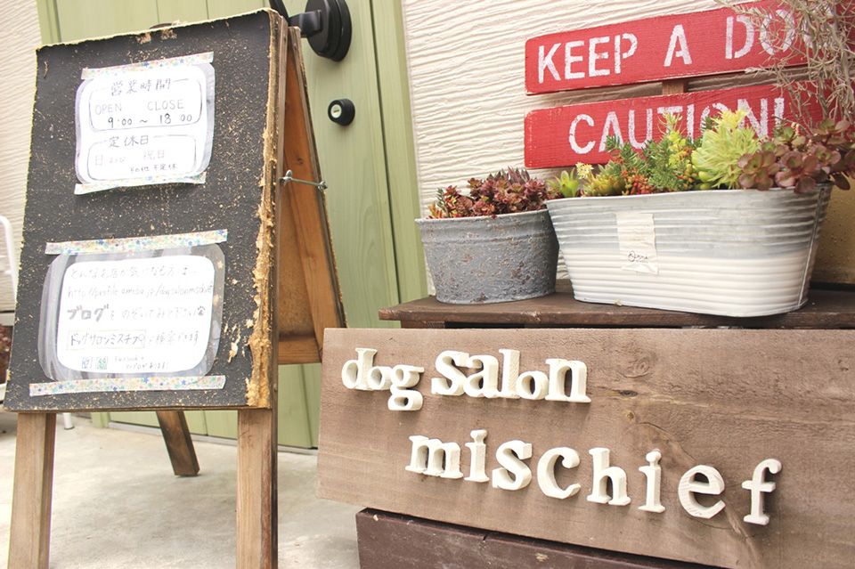 dog salon mischief