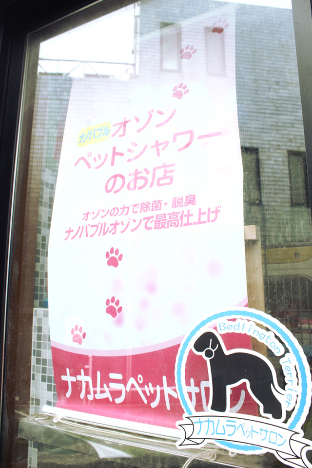 ナカムラペットサロン_1