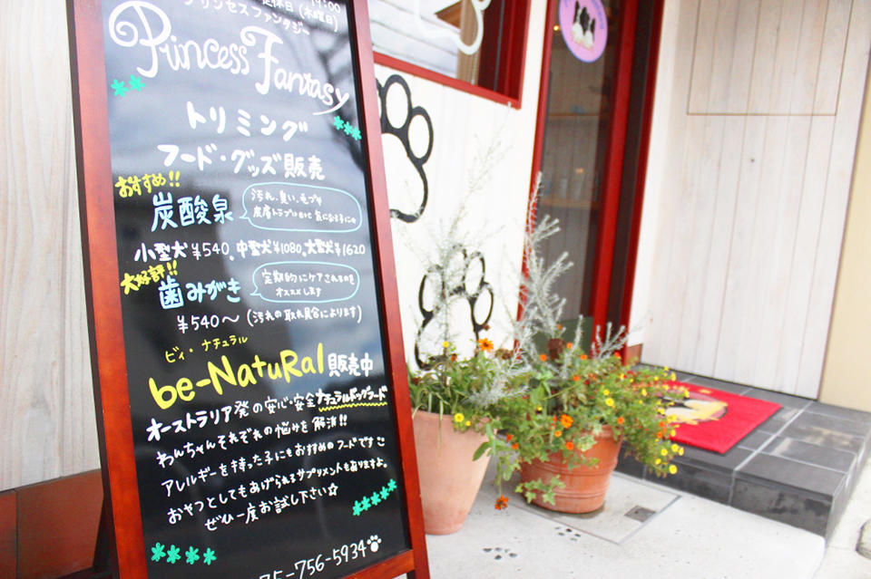 ドッグサロン Princess Fantasy 桂店