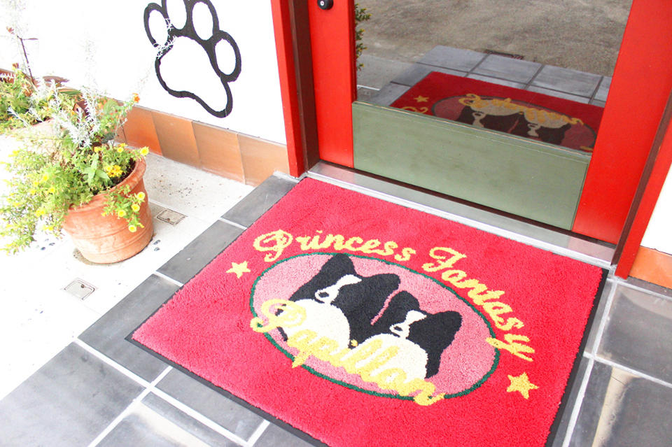 ドッグサロン Princess Fantasy 桂店_1
