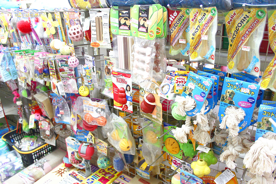 ペットスタイル 此花千鳥橋店_2