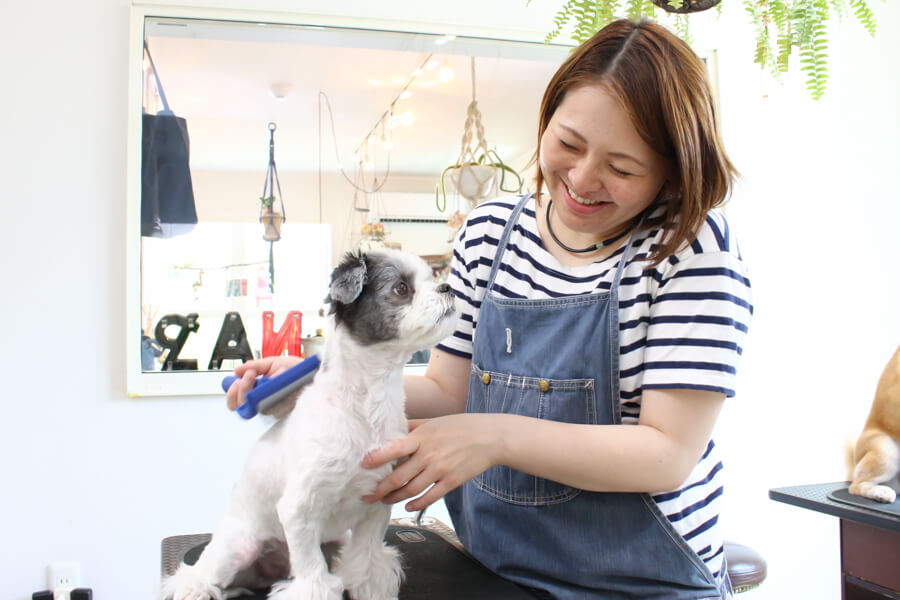 Dog salon Nap（ドッグサロンナップ）_1