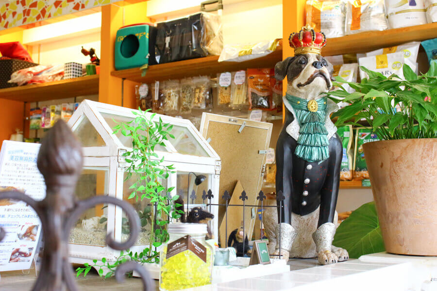 ペットサロン プルート 松戸店_3