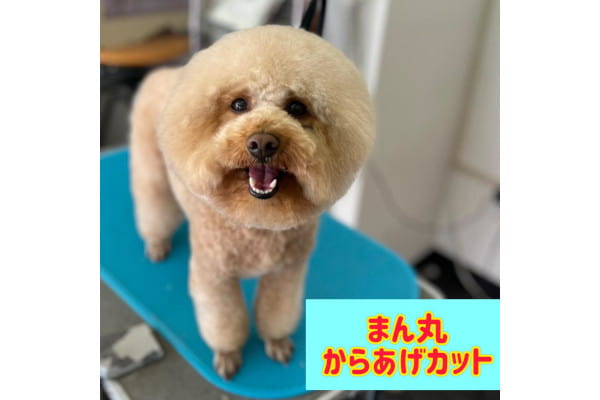 ハートワン 練馬関町店_1