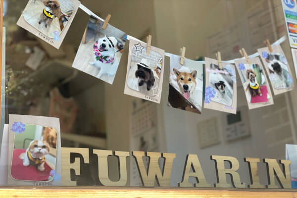 ペットサロン＆カフェ fuwarin_1