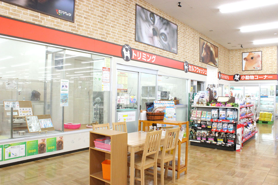 ハッピーベルちはら台店