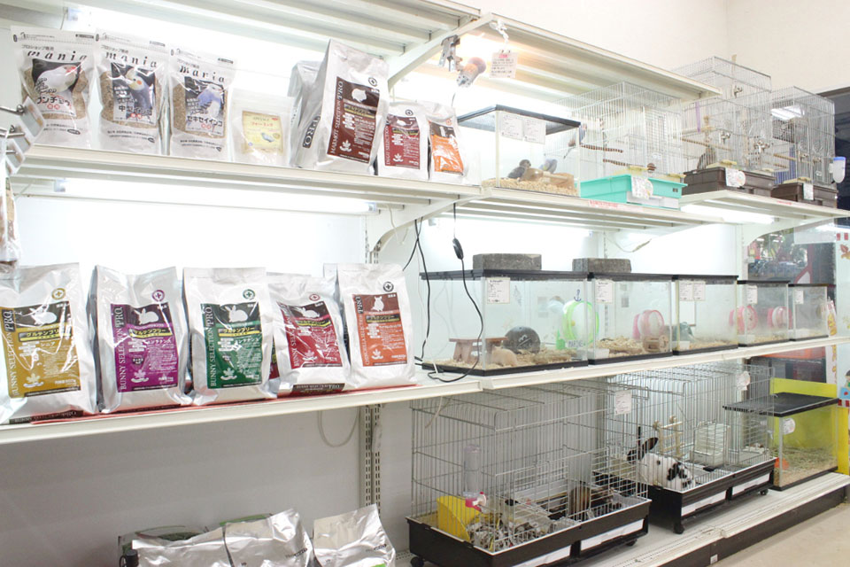 ハッピーベルちはら台店_1