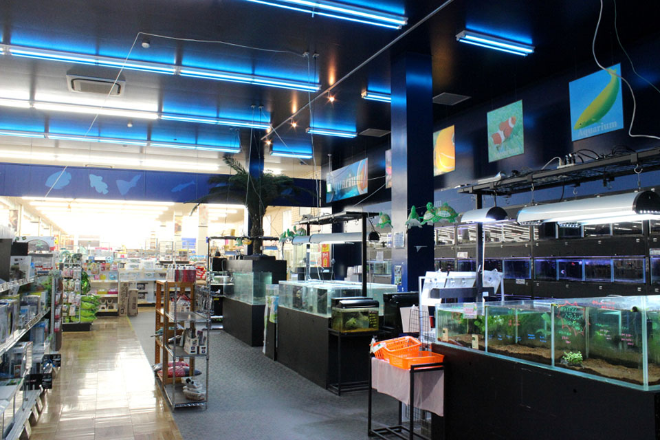 ハッピーベルちはら台店_4