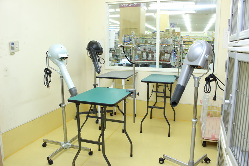 ペットプラザ江東深川店_1