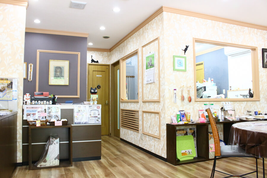 CATオアシス_1