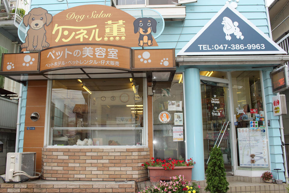 ドッグサロン ケンネル薫 松戸店