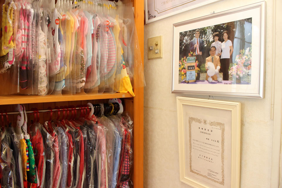 ドッグサロン ケンネル薫 松戸店_1