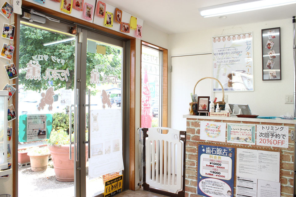 ドッグサロン ケンネル薫 船橋店_2