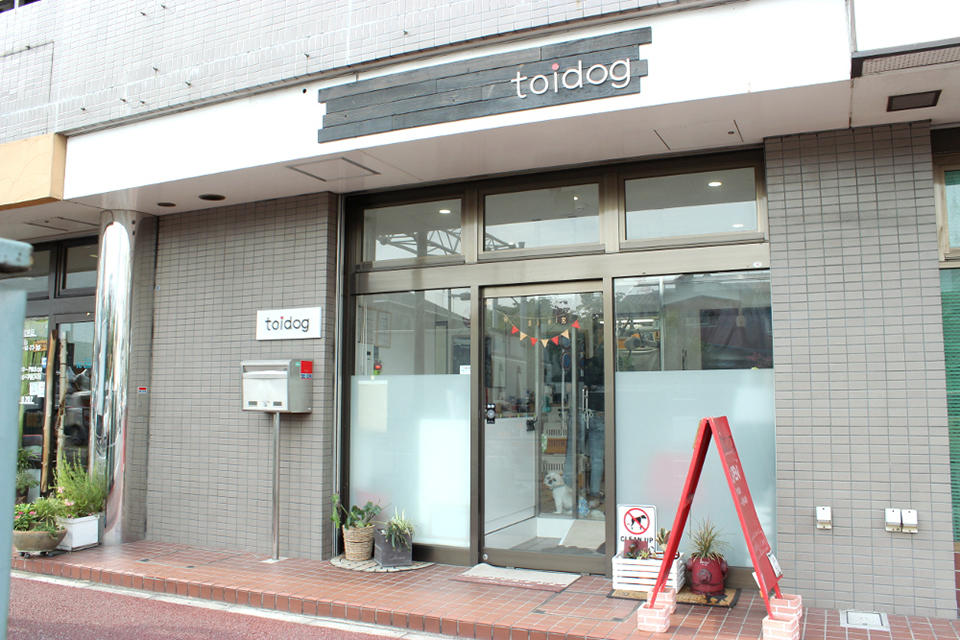 toidog