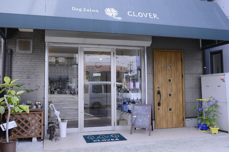 Dog Salon CLOVER