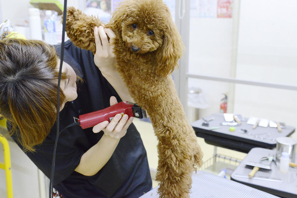 Dog Salon迎賓館 本店_3