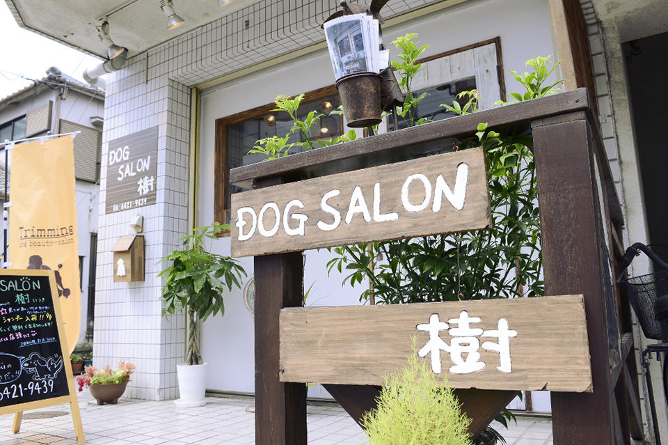 DOG SALON 樹