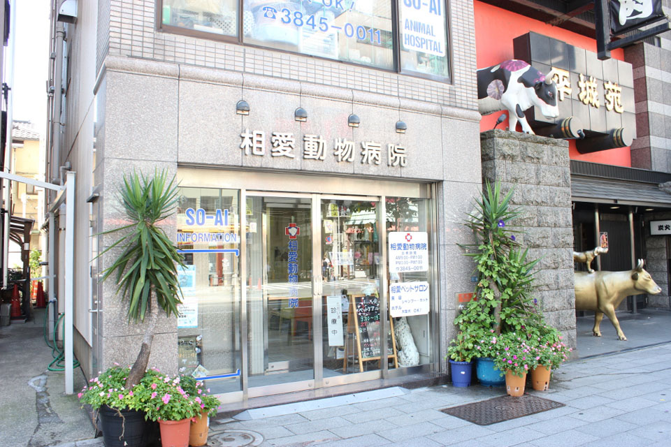 相愛ペットケアルーム_4
