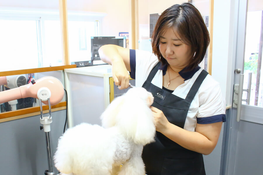 Dog care Salon IPPUDA_2