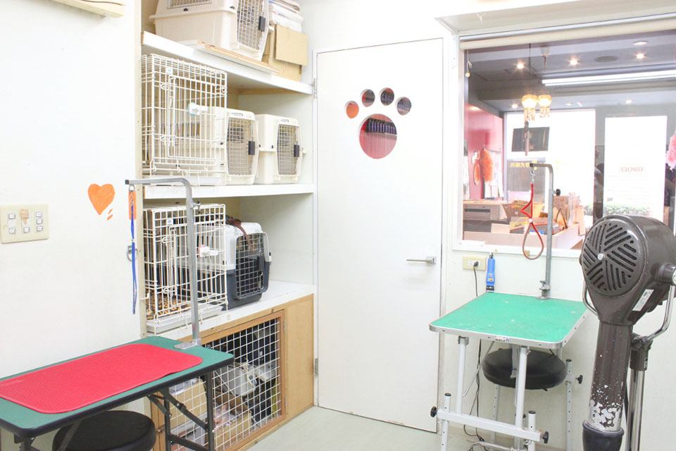 Dog Salon A’s（アズ）_3
