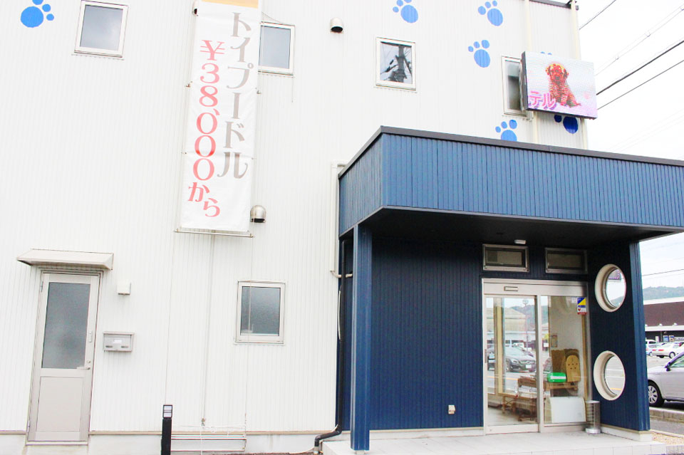 ペットショップ いっぷく湖南店