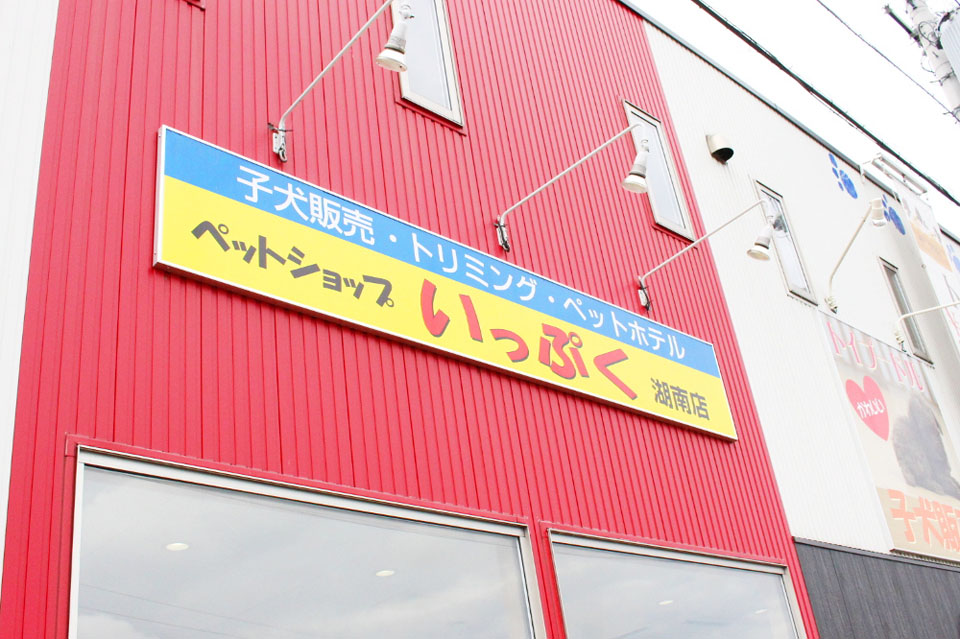 ペットショップ いっぷく湖南店_1