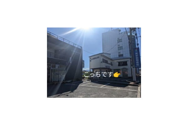 矢野動物病院(トリミング)
