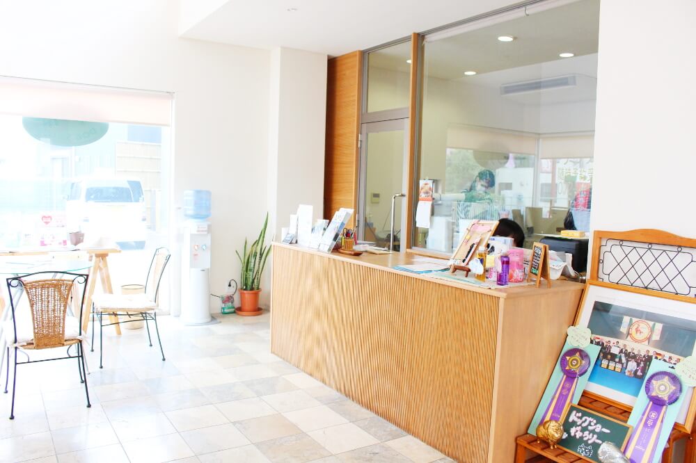 DOG SALON WING_2