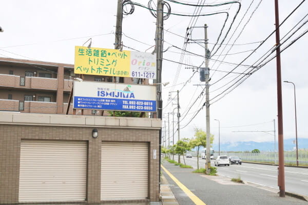 Pet&Goods shop Orion_1