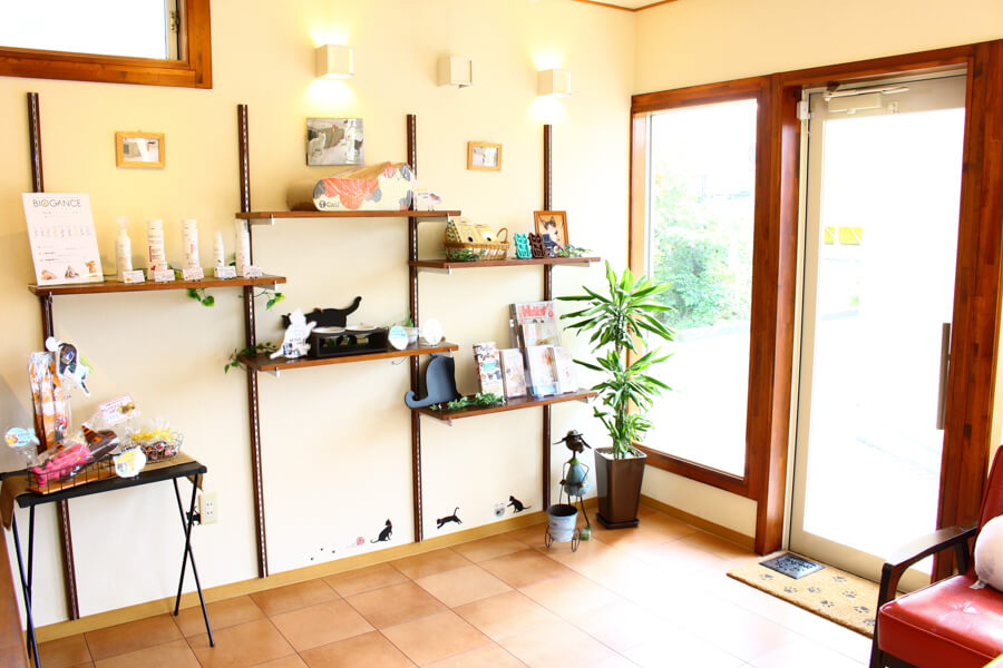 トリミングサロンアラモード本店(猫専用窓口)_2