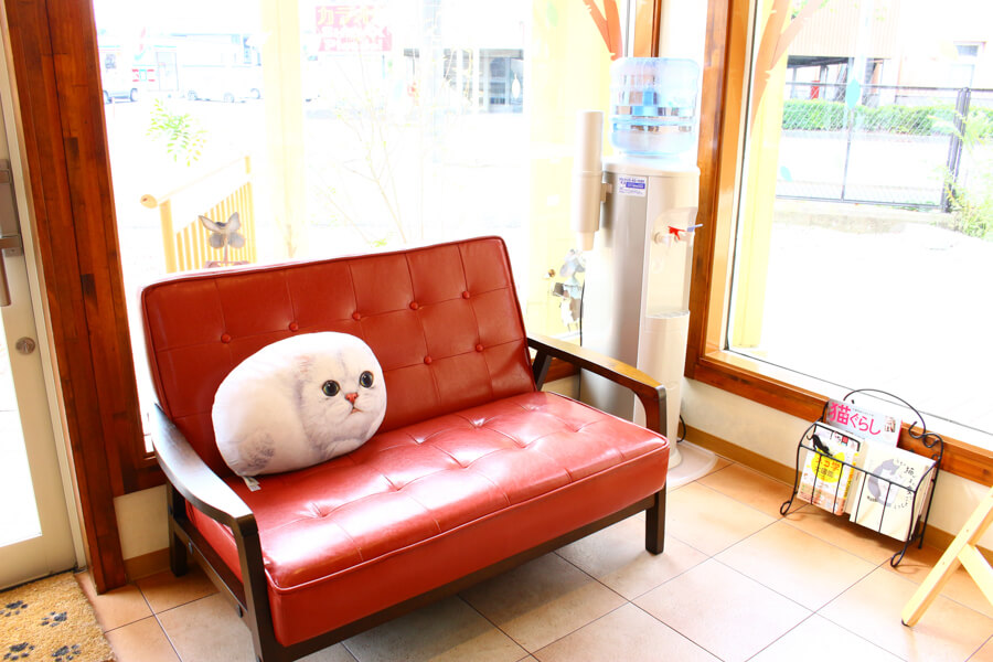 トリミングサロンアラモード本店(猫専用窓口)_4