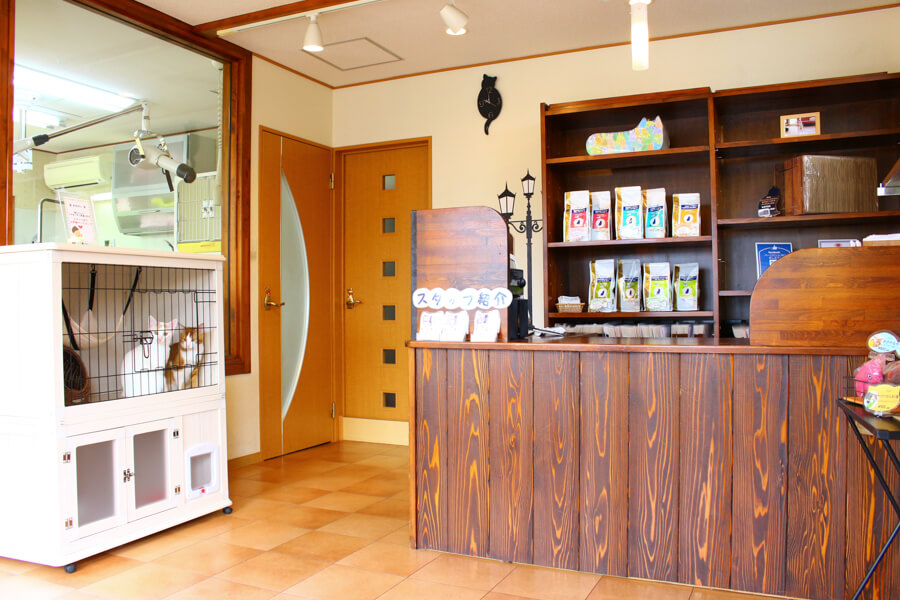 トリミングサロンアラモード本店(猫専用窓口)_3