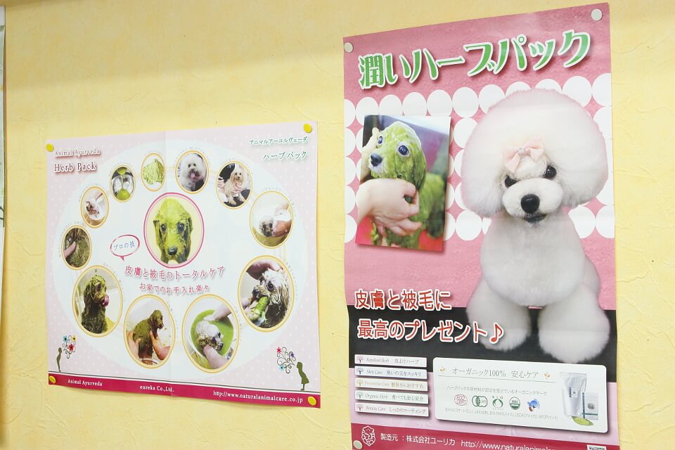 ペットハウスミミ_3