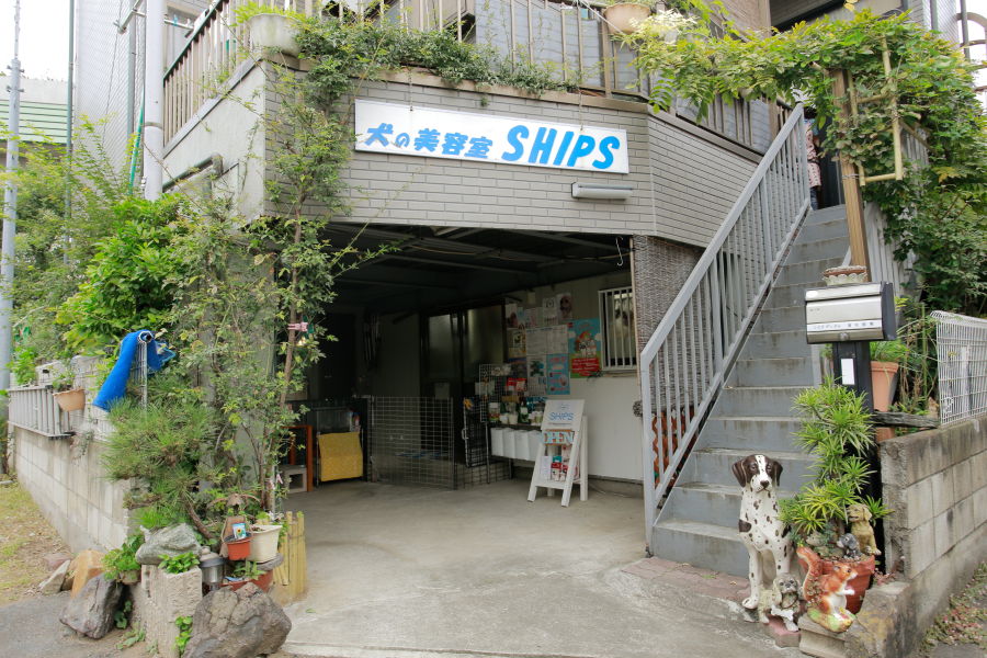 犬の美容室 SHIPS　(当日予約不可)