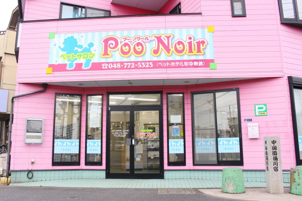 Poo Noir