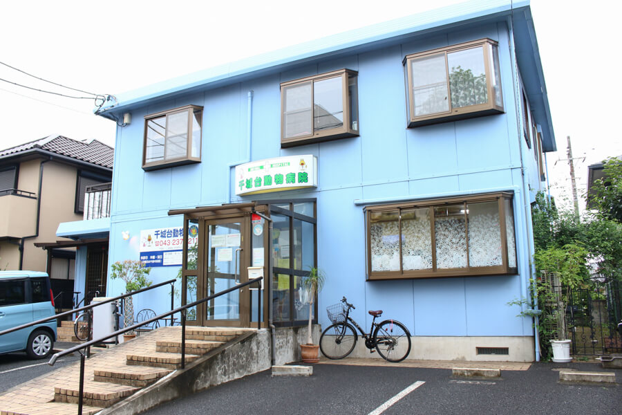 千城台動物病院(トリミング)