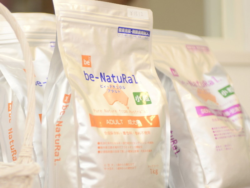 petsalon naity._4