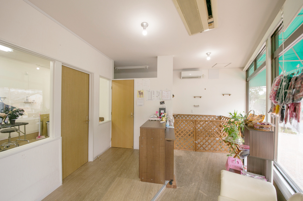 Dog Salon SINAMON_1