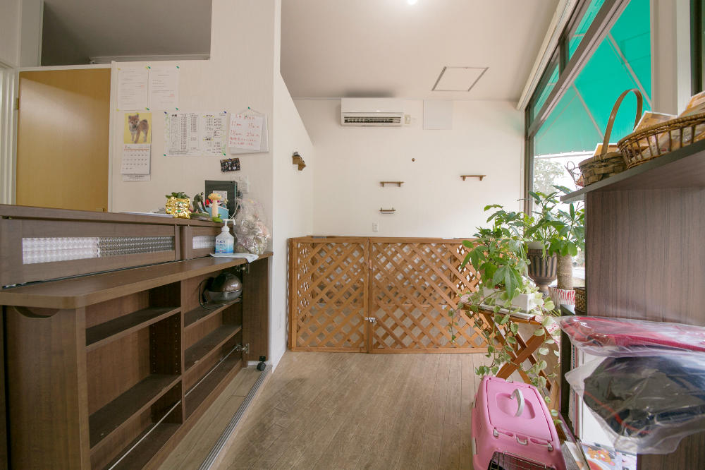 Dog Salon SINAMON_3
