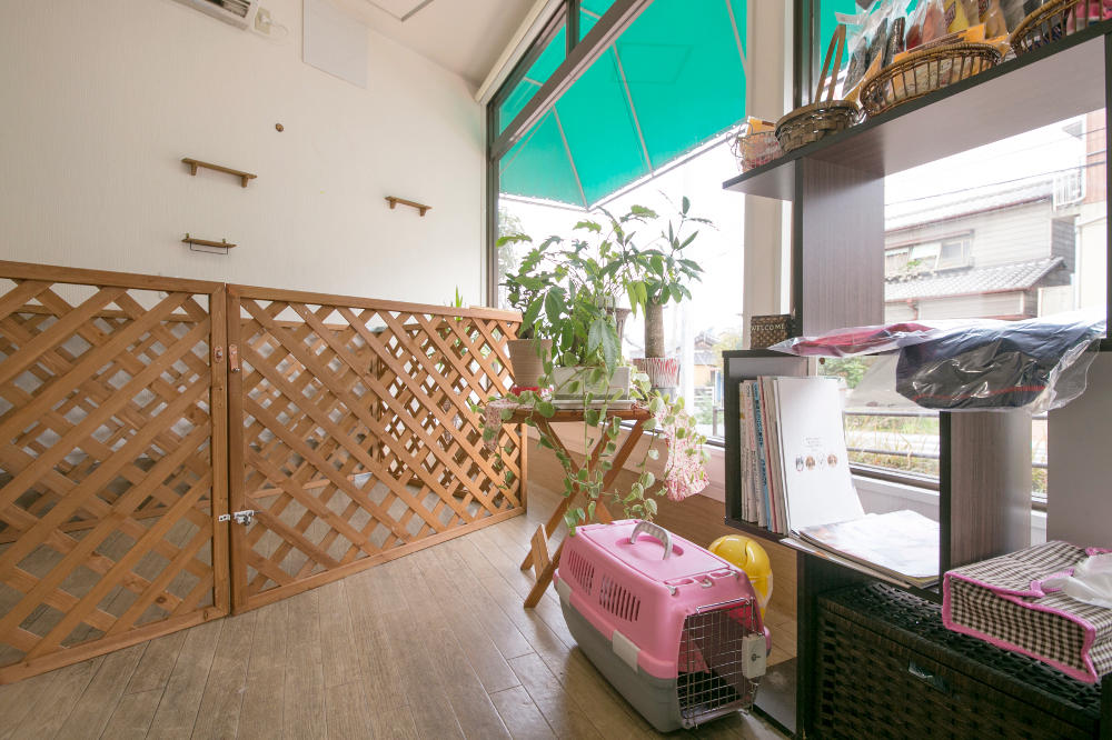 Dog Salon SINAMON_4