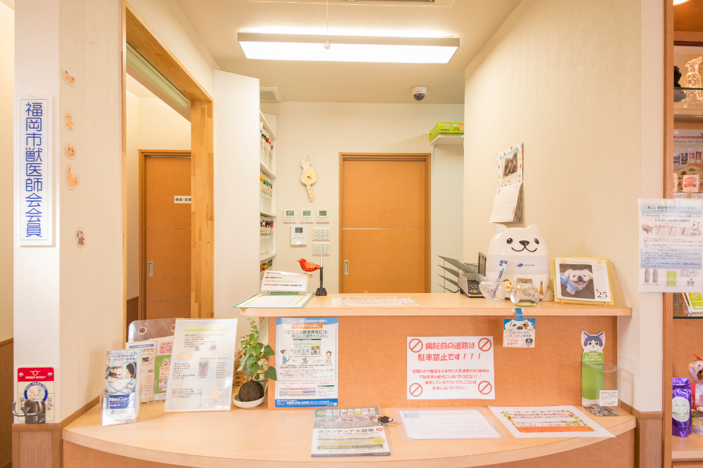 PARK PET SALON_4