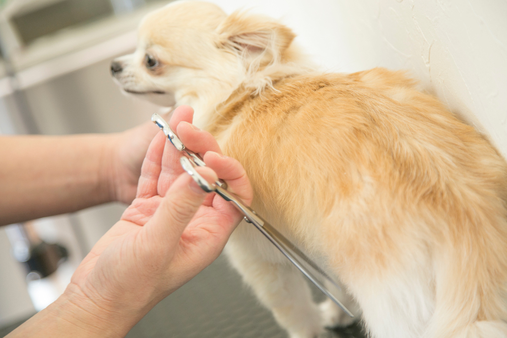 PARK PET SALON_こだわり_2