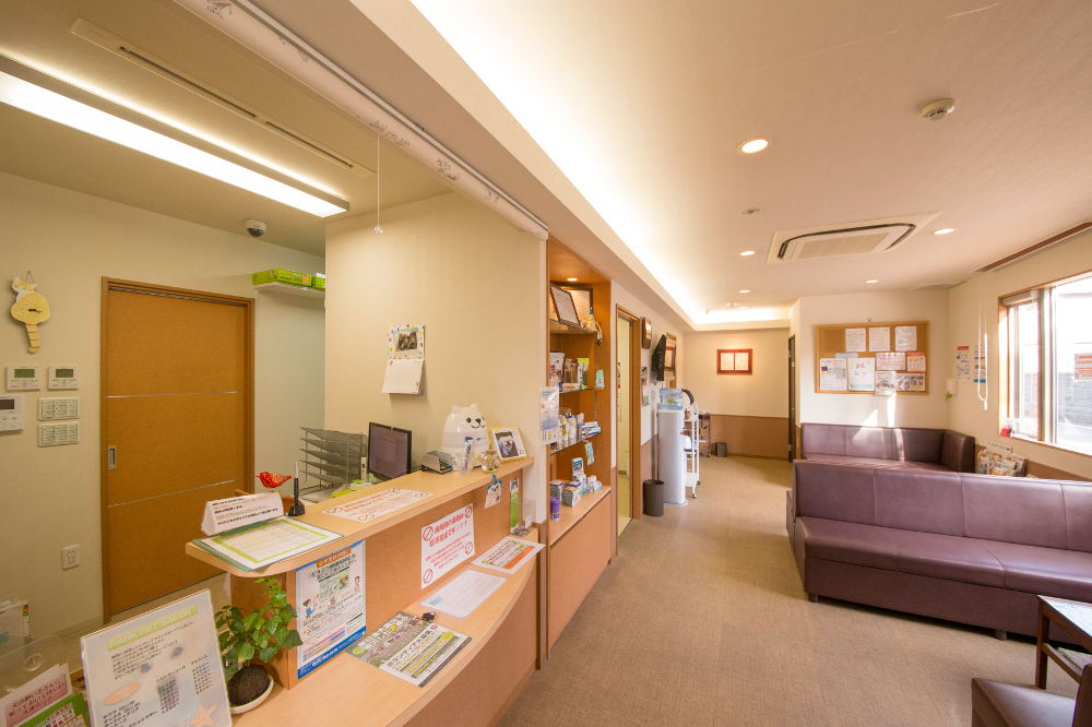 PARK PET SALON_3