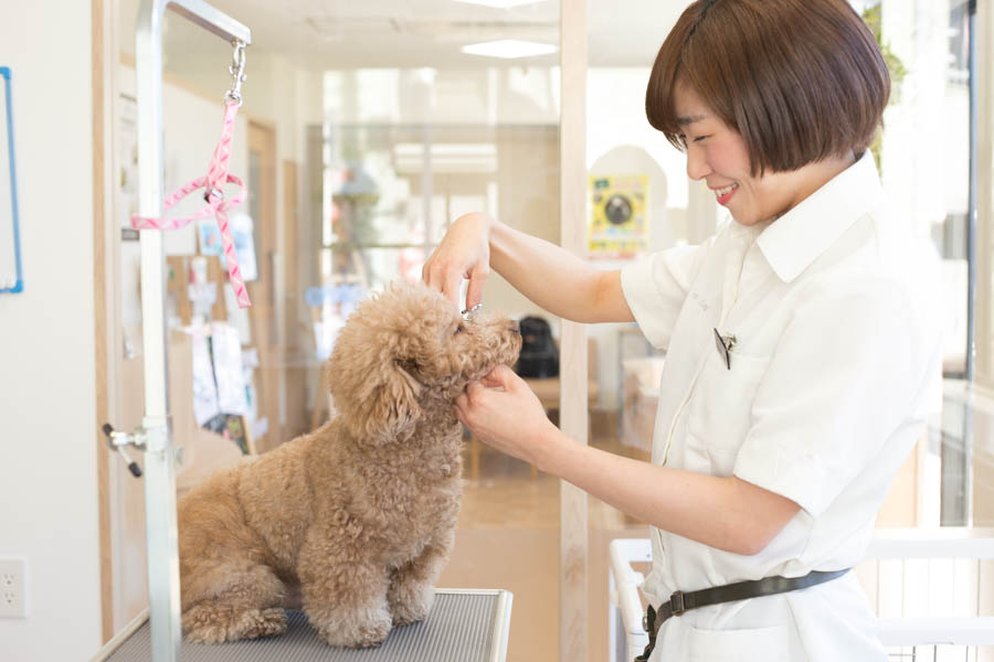 トリミングサロンアラモード 鎌ヶ谷店_こだわり_1