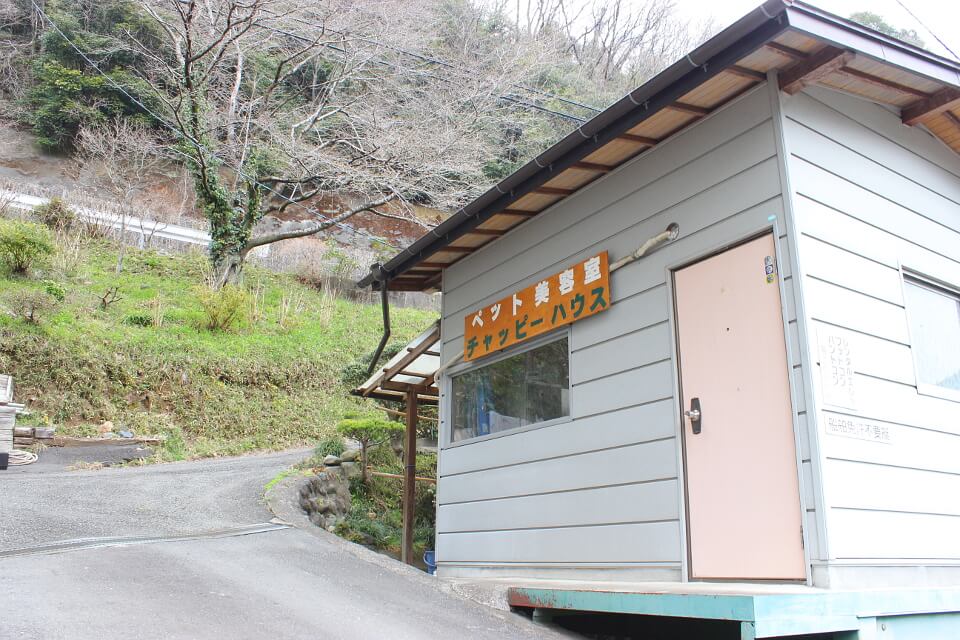 出張トリミング チャッピーハウス_4