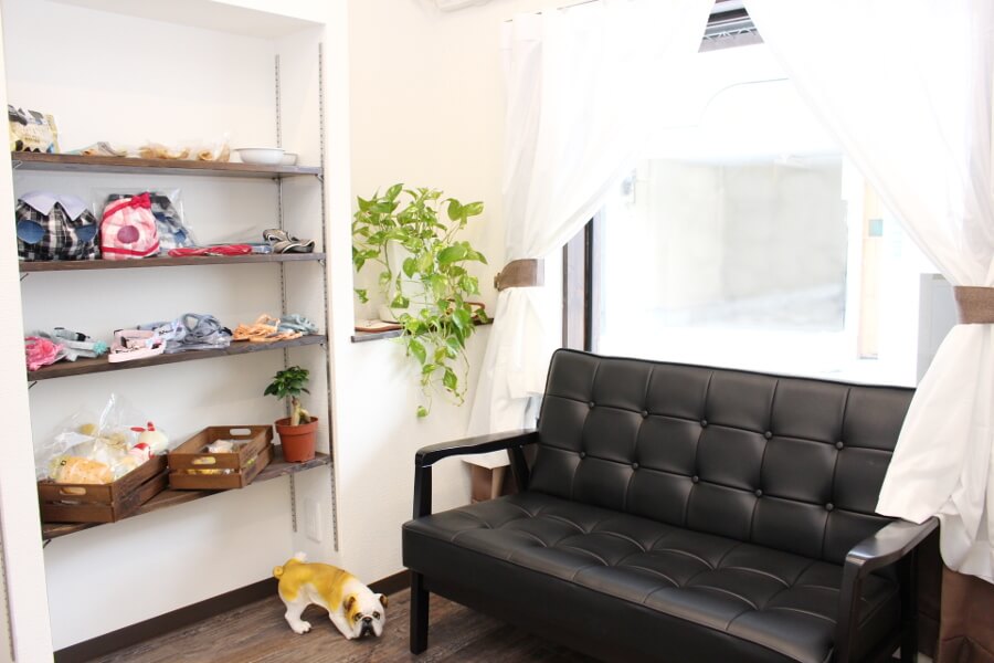 pet salon ’ilio_1