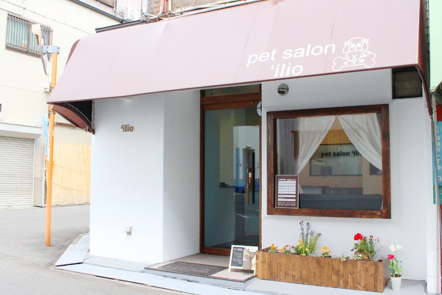 pet salon ’ilio