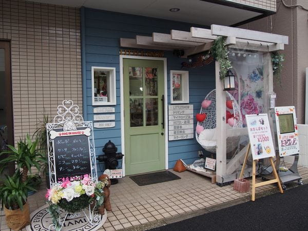 DOGトリミングスタジオ LITTLE SNOW 本店