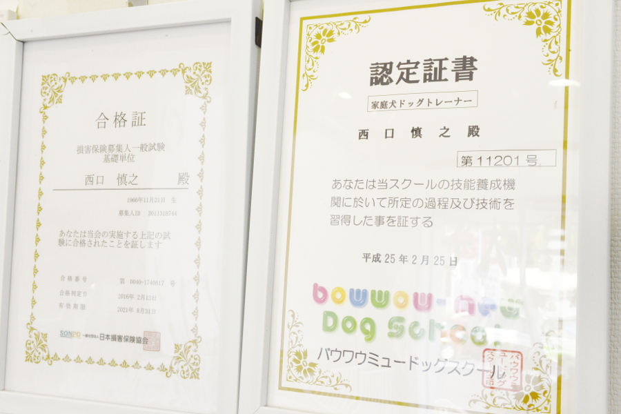DOG&CAT MOMO_4
