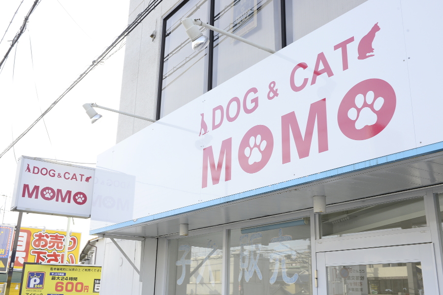 DOG&CAT MOMO_こだわり_1